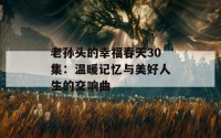 老孙头的幸福春天30集：温暖记忆与美好人生的交响曲