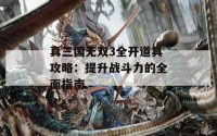 真三国无双3全开道具攻略：提升战斗力的全面指南