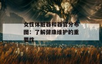 女性体脏器和器官分布图：了解健康维护的重要性