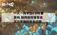 一人一狗卡住6小时要紧吗 如何应对突发状况与宠物的安全问题