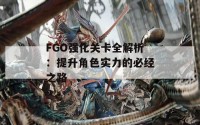 FGO强化关卡全解析：提升角色实力的必经之路