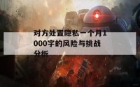 对方处置隐私一个月1000字的风险与挑战分析