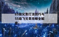 65级兄贵打法技巧与55级飞兄贵攻略全解密