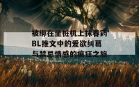 被绑在坐桩机上抹春药BL推文中的爱欲纠葛与禁忌情感的疯狂之旅