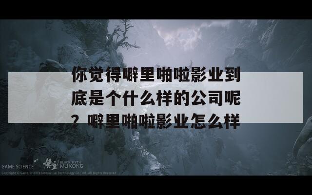 你觉得噼里啪啦影业到底是个什么样的公司呢？噼里啪啦影业怎么样