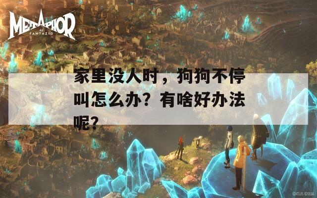 家里没人时，狗狗不停叫怎么办？有啥好办法呢？