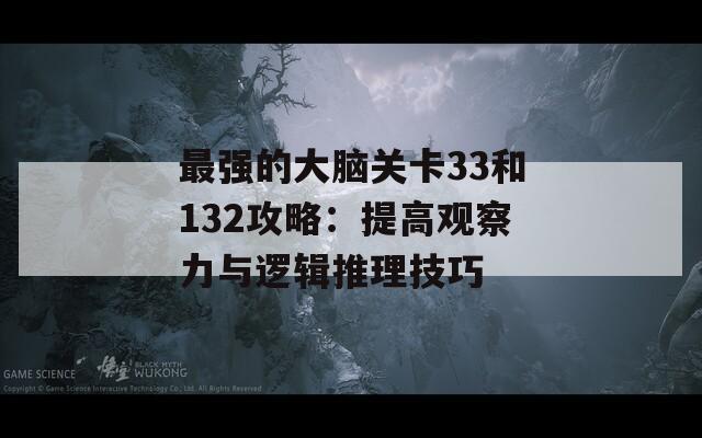 最强的大脑关卡33和132攻略：提高观察力与逻辑推理技巧