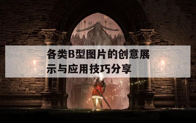 各类B型图片的创意展示与应用技巧分享