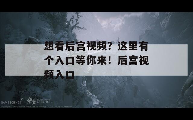 想看后宫视频？这里有个入口等你来！后宫视频入口
